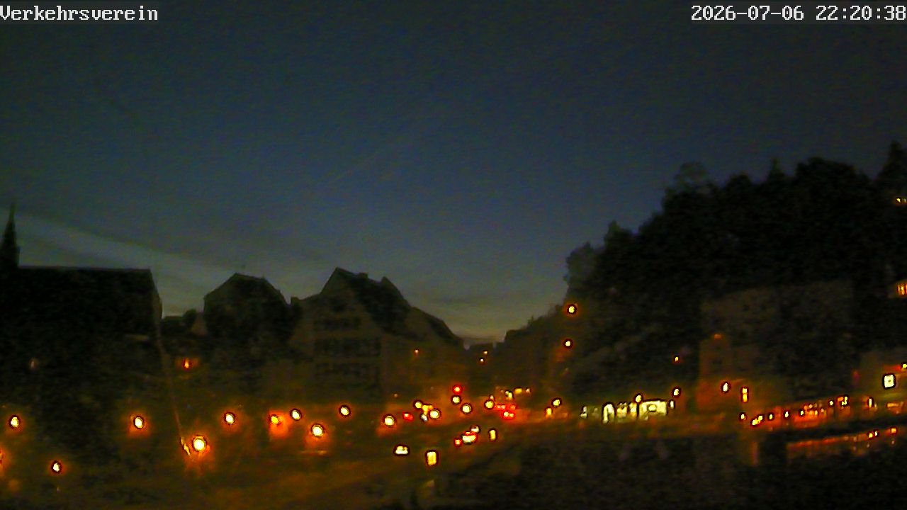 Webcam Tübingen - Livebild der Neckarfront