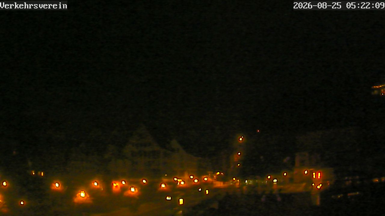 Webcam Tübingen - Livebild der Neckarfront