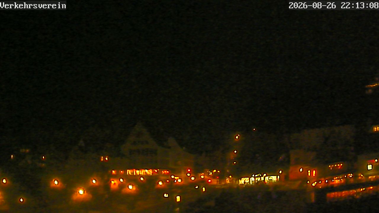 Webcam Tübingen - Livebild der Neckarfront